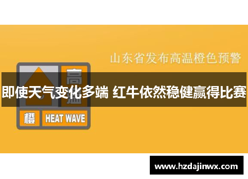 即使天气变化多端 红牛依然稳健赢得比赛